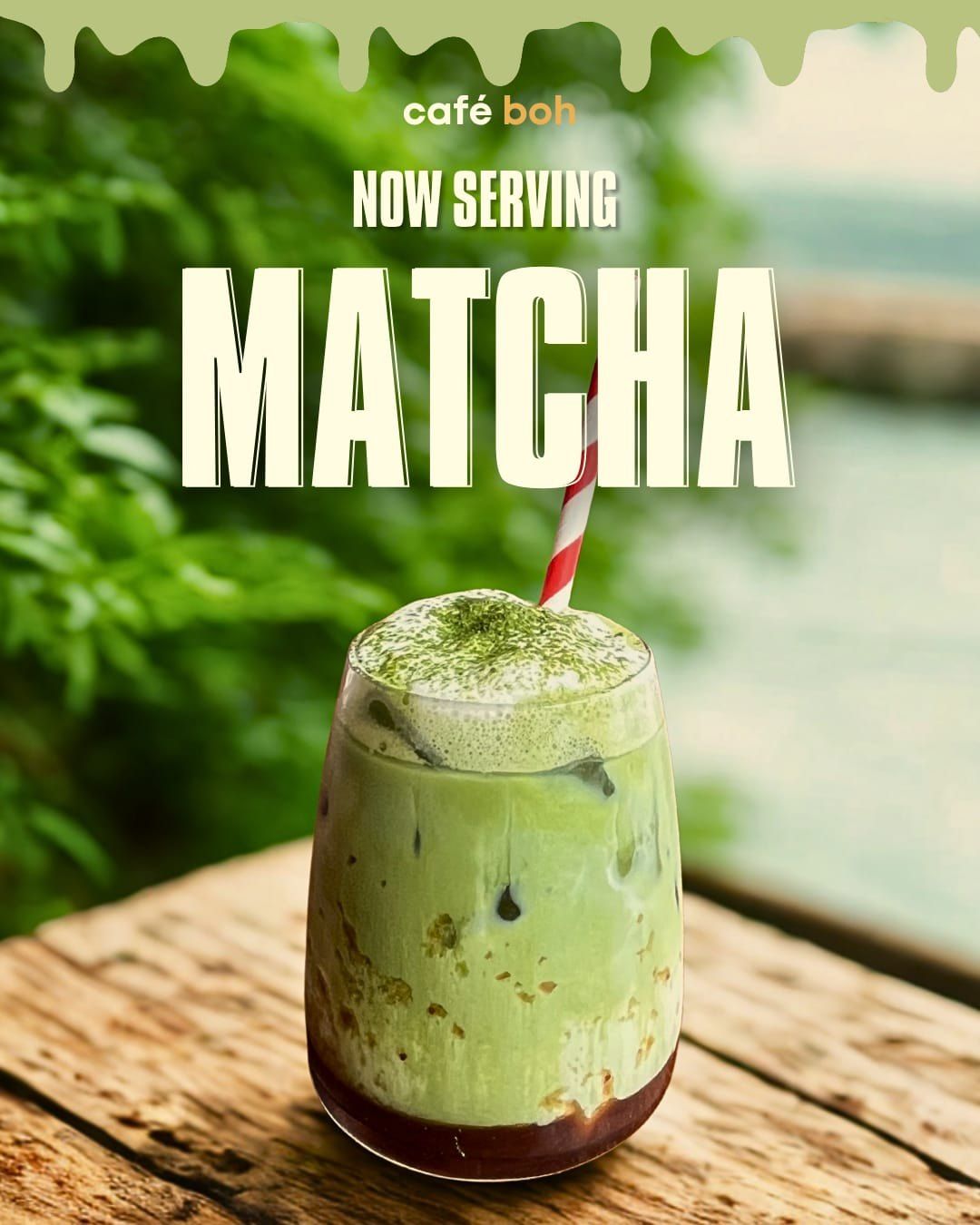 Tea and matcha